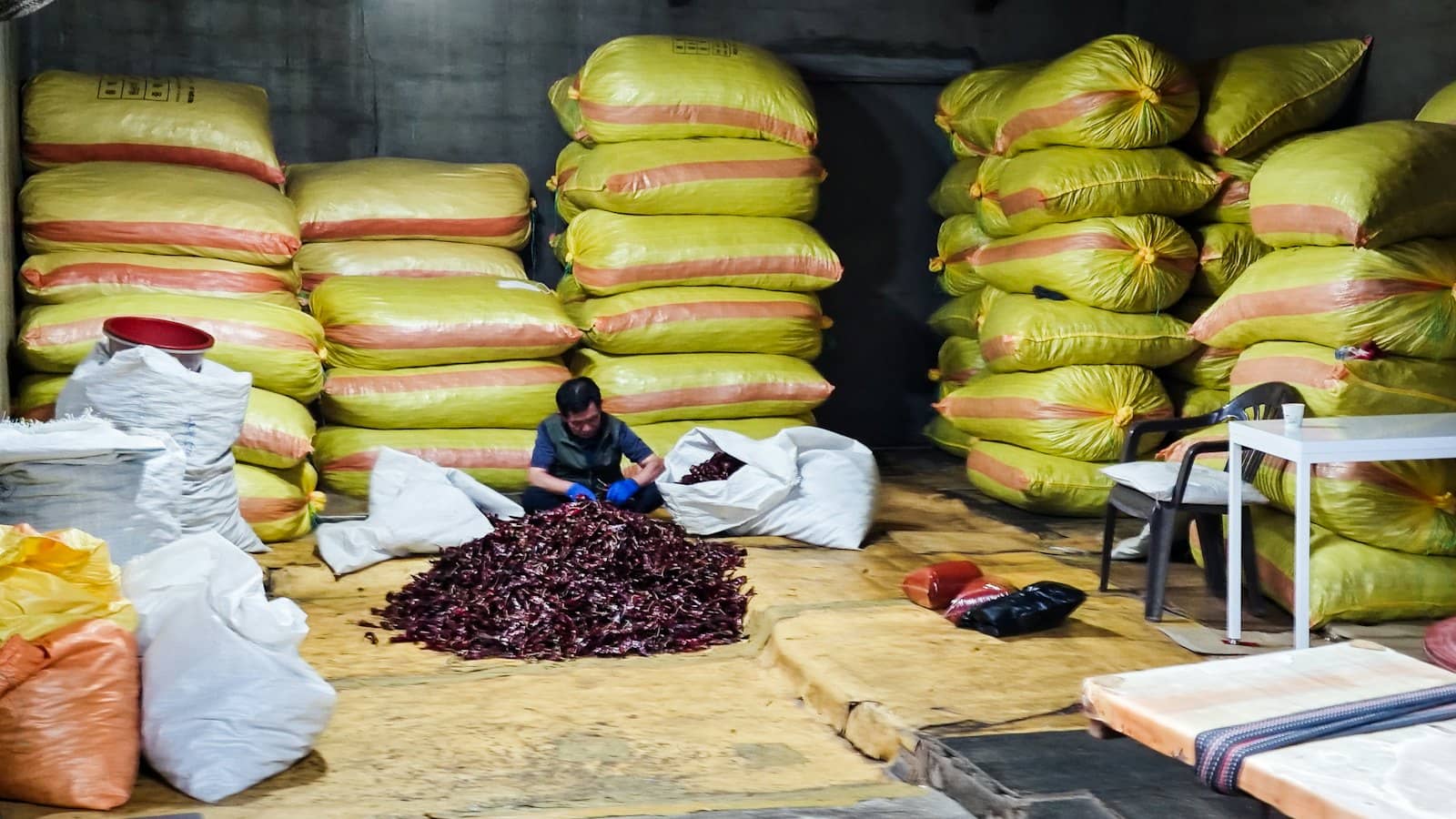 Người công nhân ngồi phân loại đống ớt khô giữa kho chất đầy bao hàng